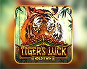Tiger`s Luck - Hold & Win